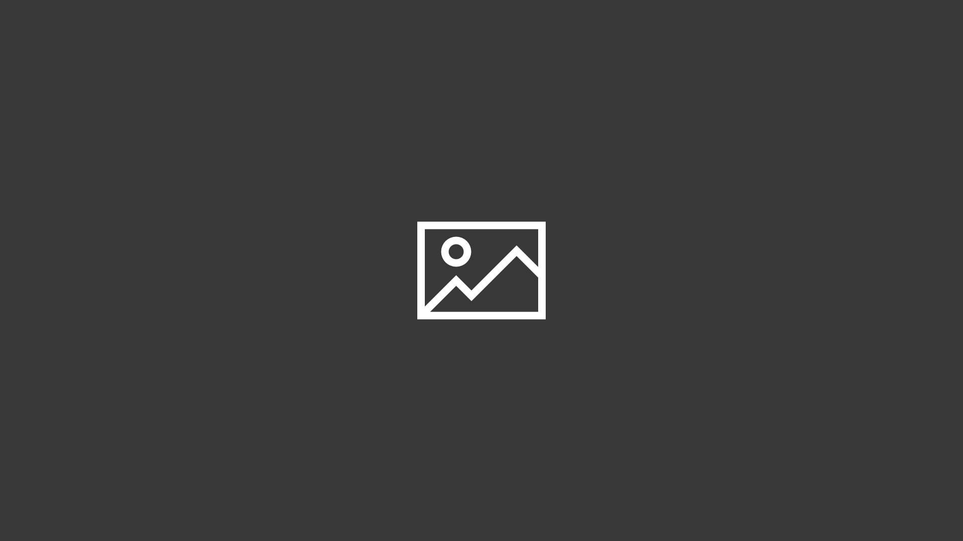 new-section-13422